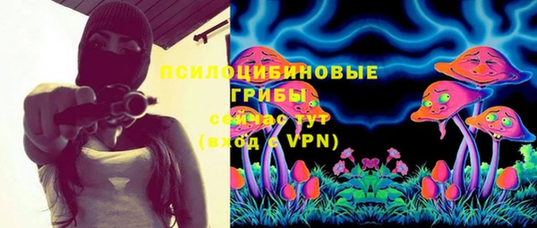 каннабис Аркадак